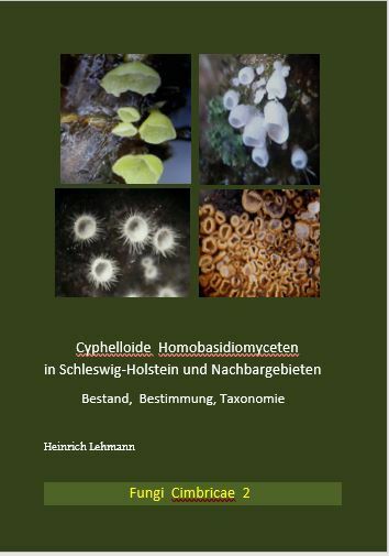 Cyphelloide Homobasidiomyceten