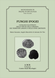 M. Sarasini, A. Bincoletto e A. De Vito (2015)-Funghi Ipogei