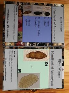 Handbook of Ascomycota, Volume 1a and 1b (2018)- Björn Wergen