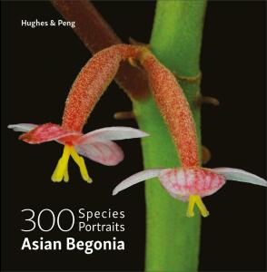 Asian Begonia: 300 species portraits-Mark Hughes & Ching-I Peng