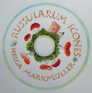 Russularum icones (CD)