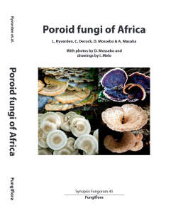 Synopsis Fungorum 45: Poroid fungi of Africa (2022)-L. Rivarden et al.