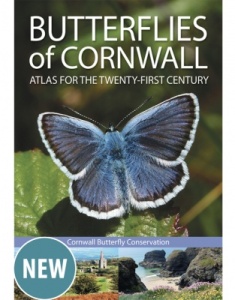 Butterflies of Cornwall-Cornwall Butterfly Conservation