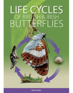 Life cycles of British and Irish Butterflies