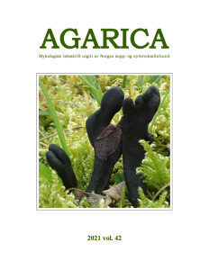 Agarica 42: Mykologisk tidsskrift (2021)