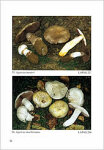 L. A. Parra-Contribution to the knowledge of genus Agaricus