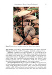 An investigation on Mycetinis (Euagarics, Basidiomycota) (2017)-Ronald H. Petersen, Karen W. Hughes