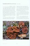 Ascomycete Fungi of North America (2014)-Alan E. Bessette, Arleen R. Bessette, Michael Beug