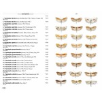 Moths of Europe, volume 7 - Microlepidoptera 1 (2023)