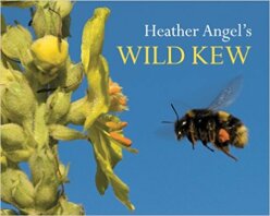 Heather Angels Wild Kew (2010)-Heather Angels