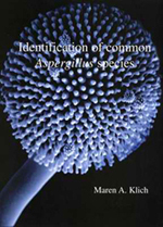 Identification of common Aspergillus species (2000)-Maren A. Klich