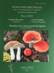 Russule rare o interessanti di Liguria – secondo contributo (2020)-PARS LXXV : FABRIZIO BOCCARDO - CARLO OSTELLARI
