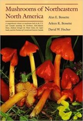 Mushrooms of Northeastern North America (1997)-Alan E. Bessette