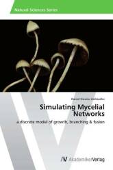 Simulating Mycelial Networks (2014)