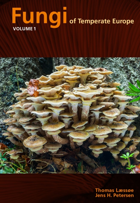 Fungi of Temperate Europe