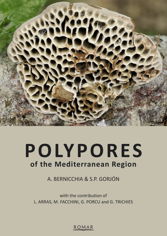 Polypores of the Mediterranean region (2020)-A.Bernicchia, S.P. Gorjón