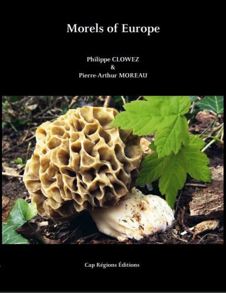 Morels of Europe (2021)- sleva