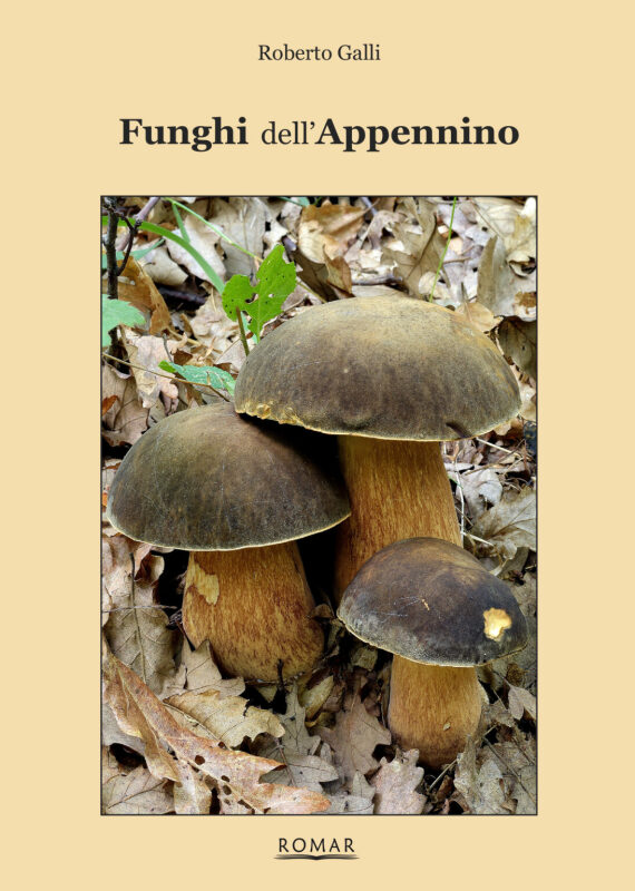 FUNGHI DELL’APPENNINO R. Galli