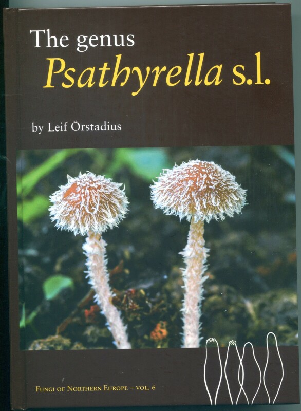 Psathyrella s.l.