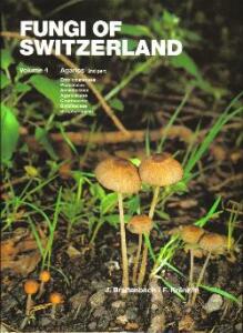 FUNGI OF SWITZERLAND Volume 4 (1995)-BREITENBACH-KRÄNZLIN