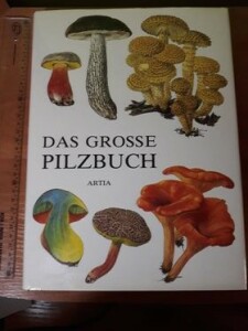 (Antik) Das grosse Pilzbuch (1983)- M. Svrček, B. Vančura