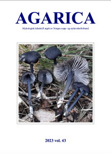 Agarica 43 (2023)