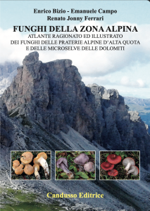 Funghi della zona alpina. Atlante ragionato ed illustrato dei funghi delle praterie alpine d’alta quota e delle microselve dell