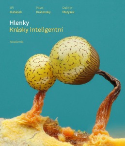 Hlenky. Krásky inteligentní (2026)- JIŘÍ KUBÁSEK, PAVEL KRÁSENSKÝ, DALIBOR MATÝSEK