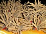 MRL Cordyceps sinensis housenice čínská prášek 250 g