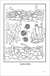 Fungi Europaei 7 Lactarius Pers. (1999)-M.T. Basso