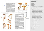 Guida introduttiva al genere Cortinarius in Europa (2021)-F.Calledda, E. Campo, M. Floriani, R. Mazza