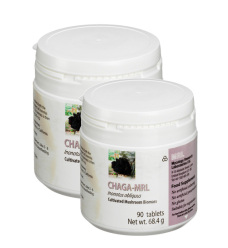 MRL Chaga Inonotus obliquus rezavec šikmý houbová výživa 250g