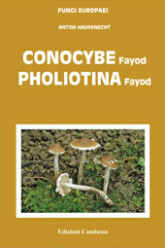 Fungi Europaei 11 Conocybe - Pholiotina (2008)-A. Hausknecht