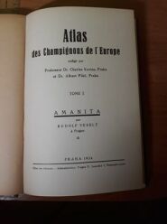(Antik) Atlas des Champignons de l´Europe-Tome I. (1934)- K. Kavina, A. Pilát, R. Veselý