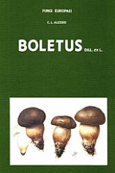 (Antik) 2A Boletus DILL.ex L.-C.L. Alessio