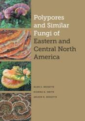 Polypores and Similar Fungi of Eastern and Central North America (2021)