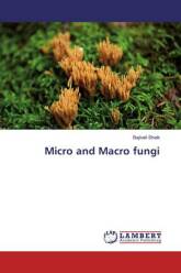Micro and Macro fungi (2019)-Bajivali Shaik