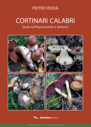Cortinari Calabri (2023)-Pietro Rodà