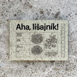 Aha, lišajník! (2025)-Jonáš Gruska