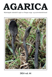 Agarica 44: MYKOLOGISK TIDSSKRIFT (2024)