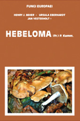 (antik) Fungi Europaei 14 Hebeloma (Fr.) P. Kumm. (2016)-H. J. Beker-U. Eberhardt & J. Vesterholt
