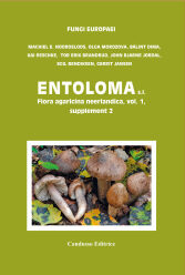 Entoloma s.l. 5c/Flora Agaricina Neerlandica vol. 1 suppl. 2. (2026)-Machiel E. Noordeloos, Olga Morozova, Bálint Dima, Kai Res